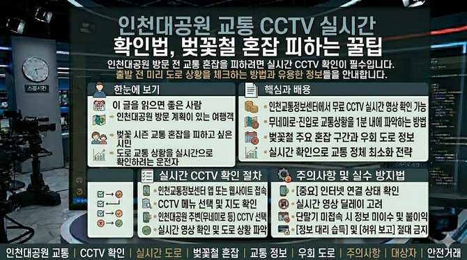 인천대공원 교통 CCTV 실시간 확인법, 벚꽃철 혼잡 피하는 꿀팁