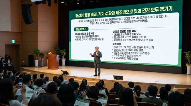 매실청 성공 비결, 적기 수확과 제조법으로 맛과 건강 모두 챙기기