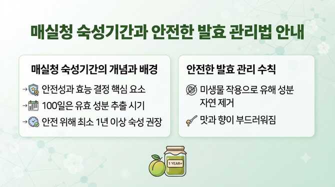 매실청 숙성기간과 안전한 발효 관리법 안내