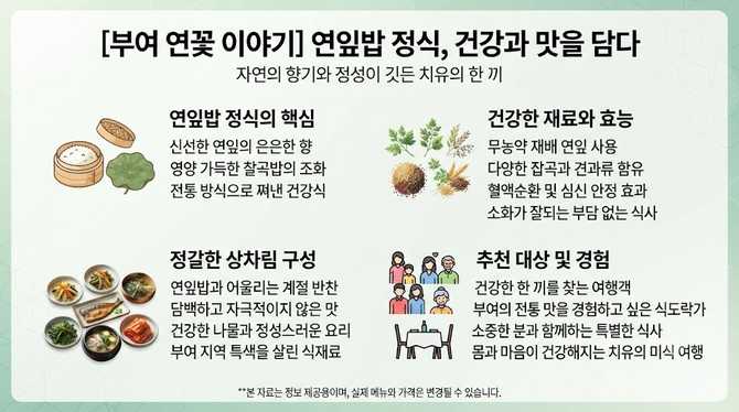 부여 연꽃 이야기 연잎밥 정식, 건강과 맛 모두 잡는 비결은?