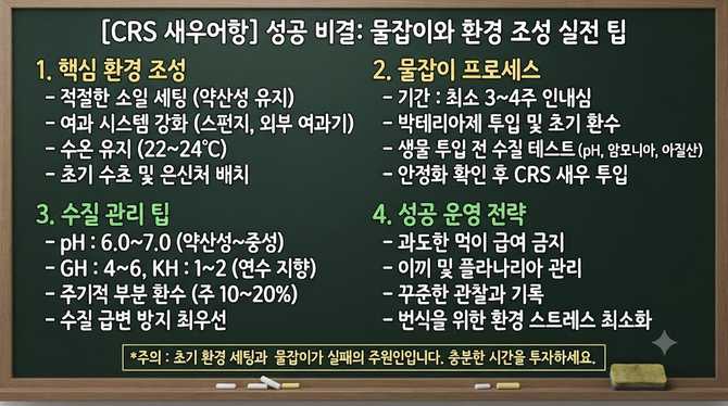 CRS 새우어항 성공 비결, 물잡이와 환경 조성 실전 팁은 무엇?